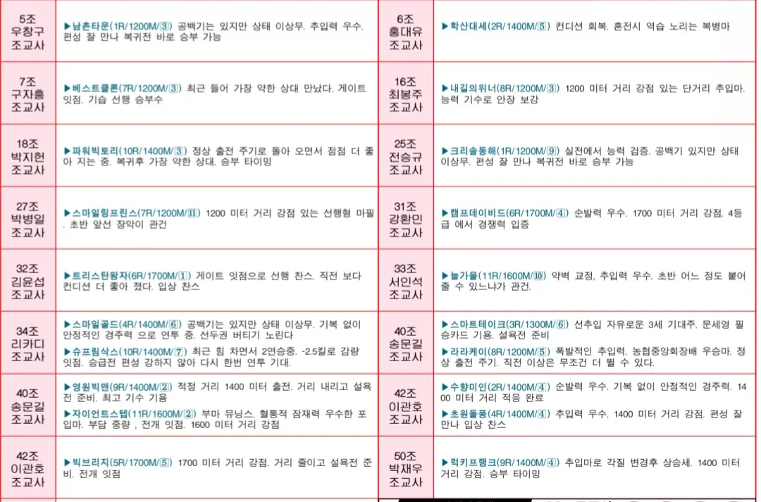 7월 6일 일요서울 조교사 인터뷰