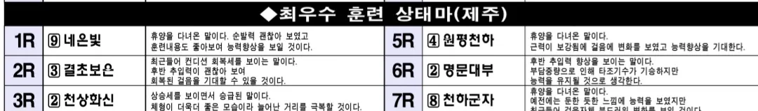 "5월 3일 토요제주 조교상태 양호마"