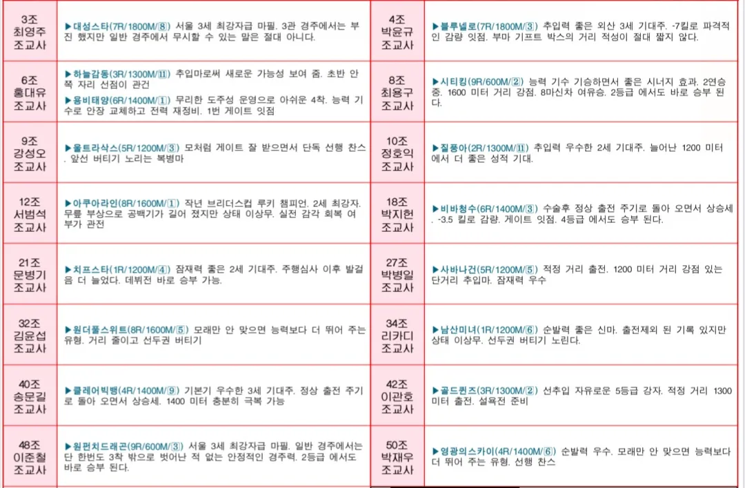 7월 19일 토요서울 조교사 인터뷰