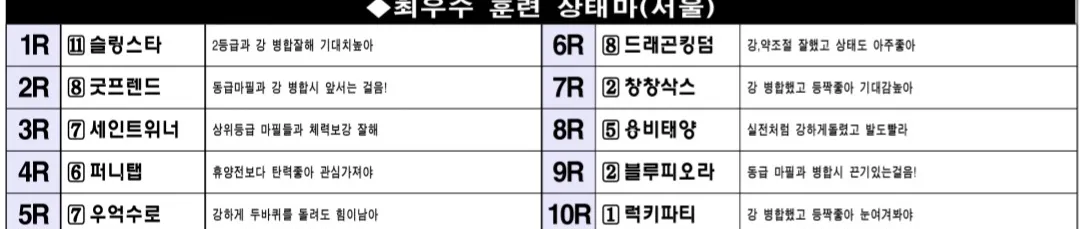 "5월 24일 토요서울 조교상태 양호마"