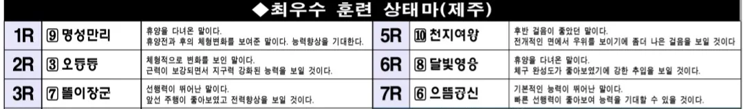 "5월 24일 토요제주 조교상태 양호마"