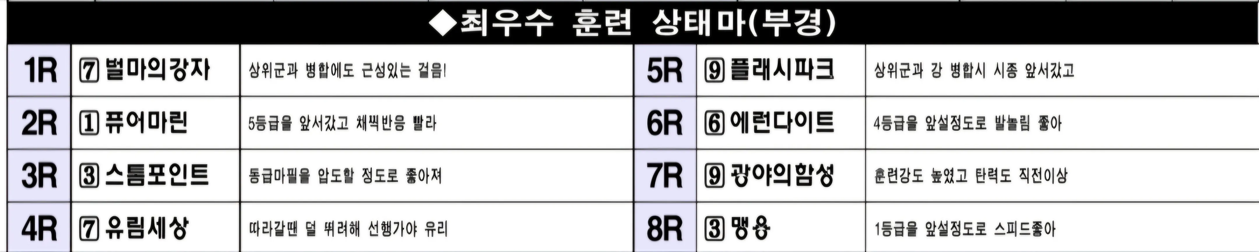 6월13일 금요부산 조교상태 양호마