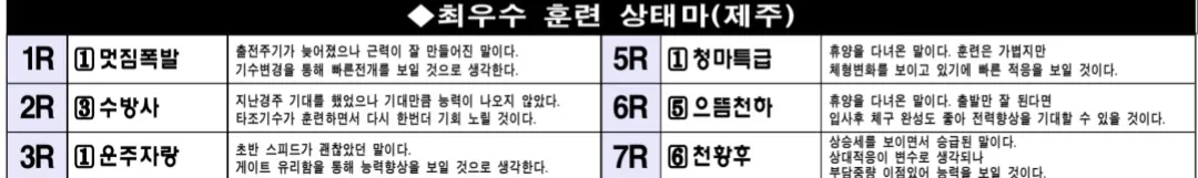 7월 12일 토요제주 조교 상태 양호마