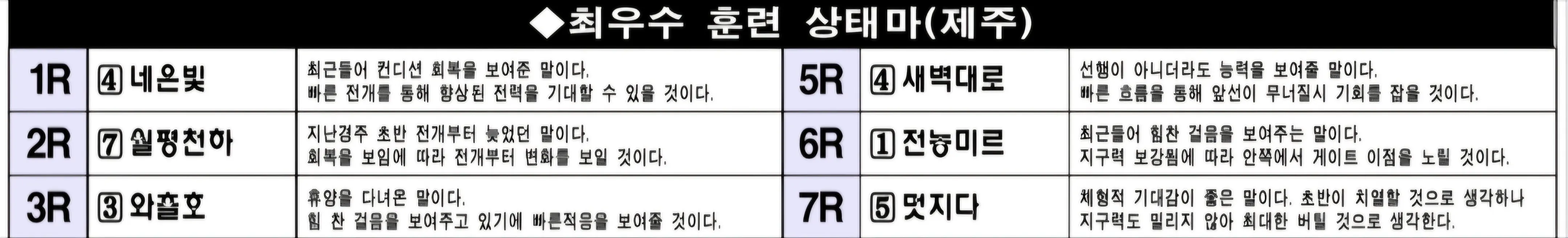 "6월 7일 토요제주 조교상태 양호마