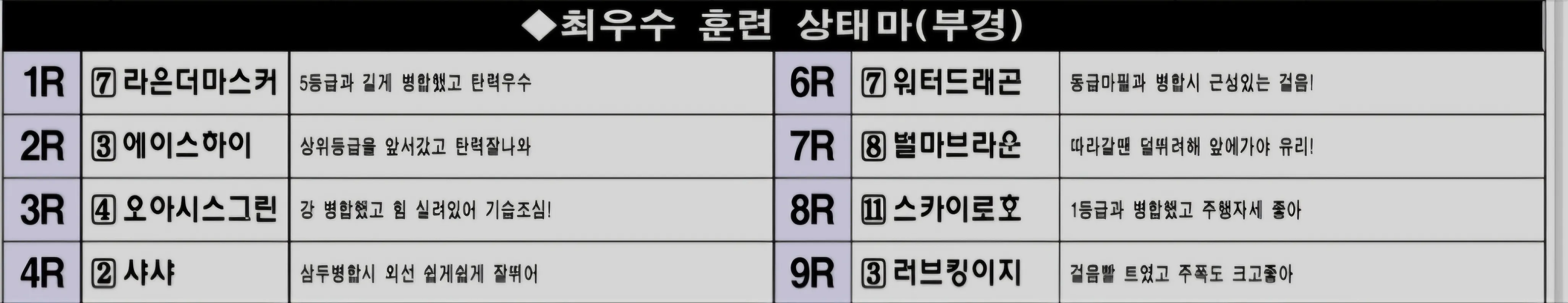 "2월 7일 부산경마 조교상태 양호마"