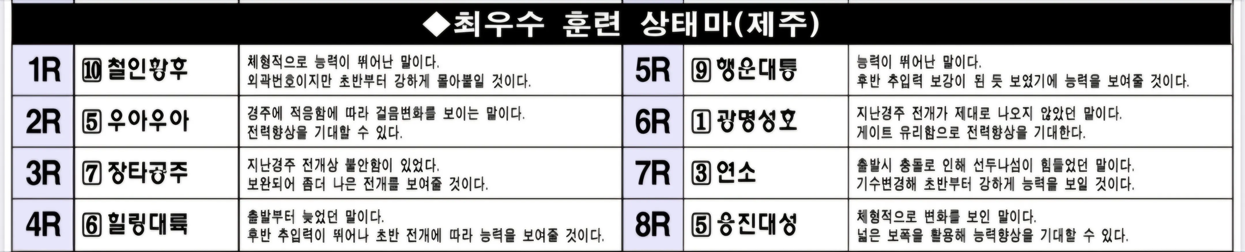 "5월 29일 금요제주 조교상태 양호마"