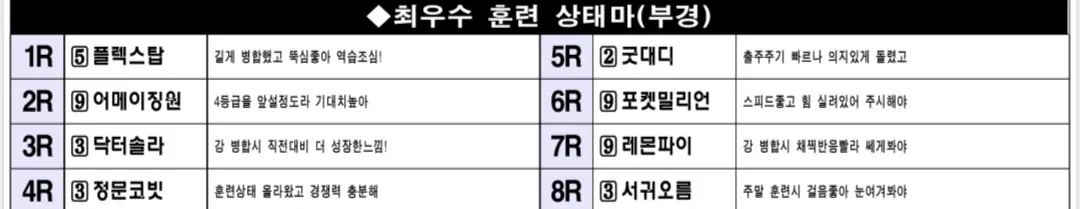 "5월 29일 금요부산 조교상태 양호마"