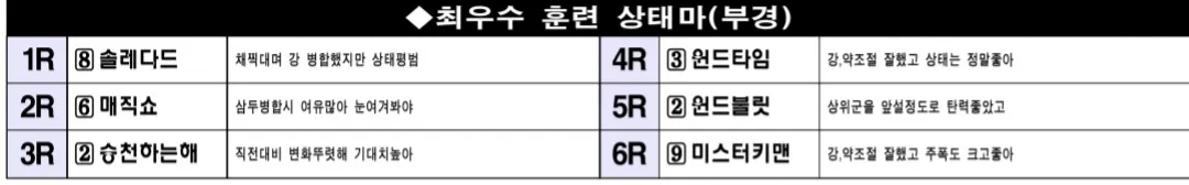 "5월 18일 일요부산 조교상태 양호마"