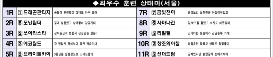 "5월4일 일요서울 조교상태 양호마"
