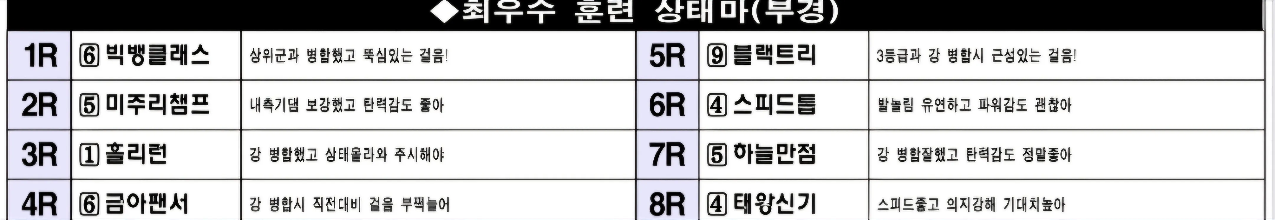 "6월 8일 일요부산 조교상태 양호마"