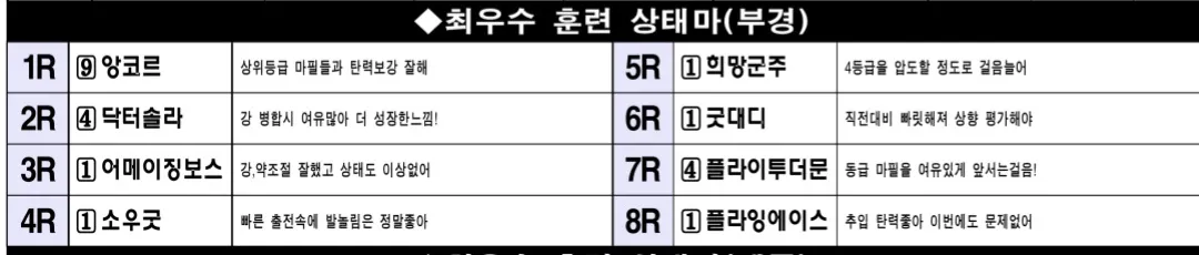 "7월 4일 금요부산 조교상태 양호마"