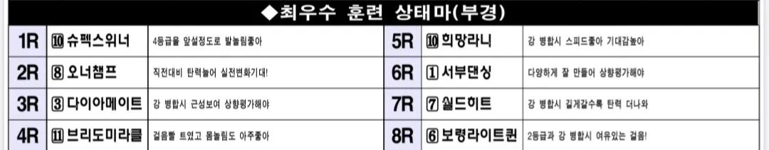 "7월 18일 금요부산 조교상태 양호마"