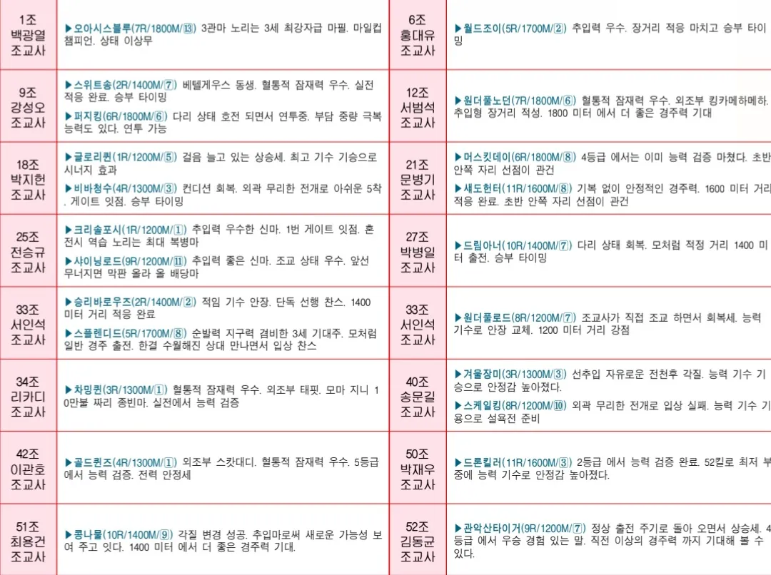 "5월 11일 일요서울 조교사 인터뷰"
