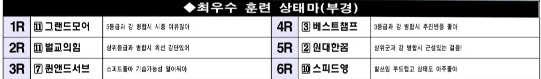 6월 29일 일요부산 조교상태 양호마