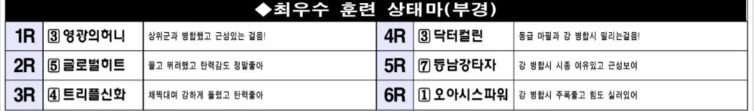 "5월25일 일요부산 조교상태 양호마"