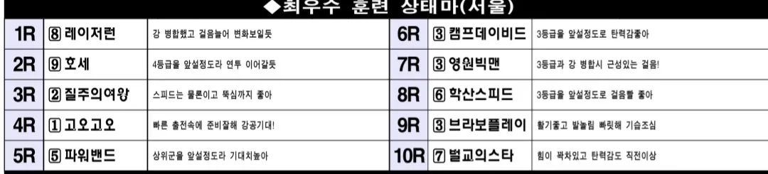 "5월 3일 토요서울 조교상태 양호마"