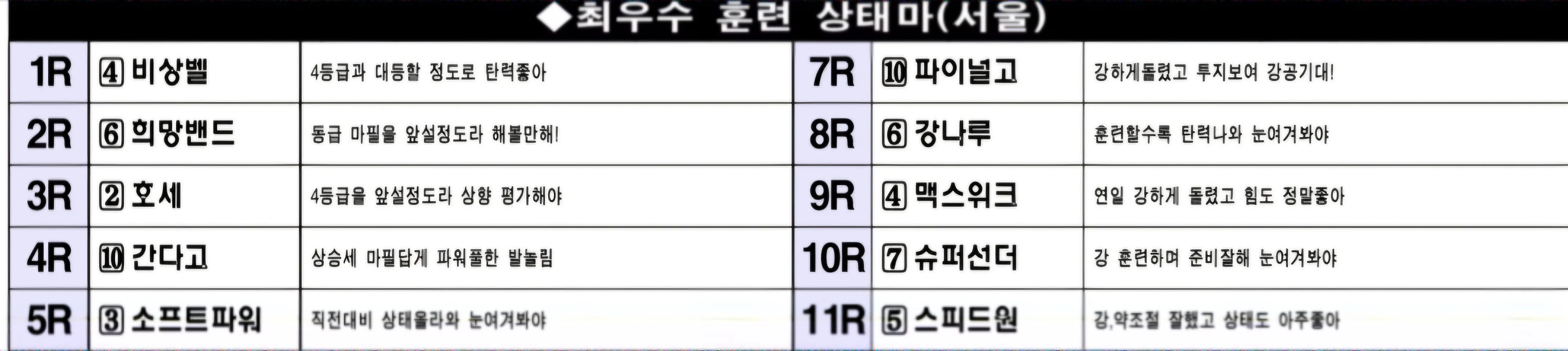 "6월 1일 일요서울 조교상태 양호마"