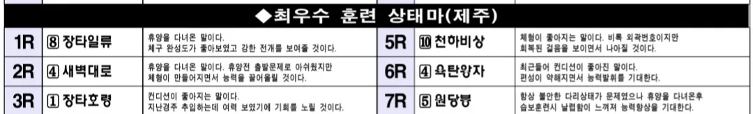 "5월10일 토요제주 조교상태 양호마"