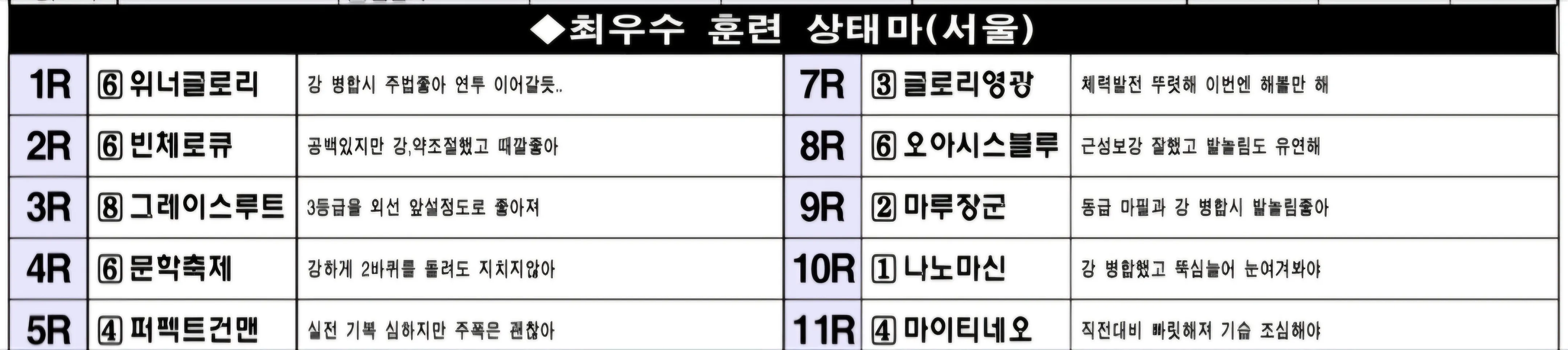 6월 15일 일요서울 조교상태 양호마