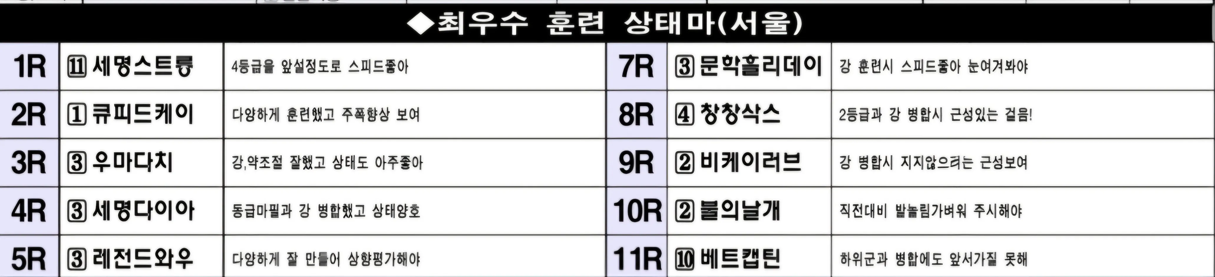 "3월 2일 일요일 서울 조교상태 양호마"