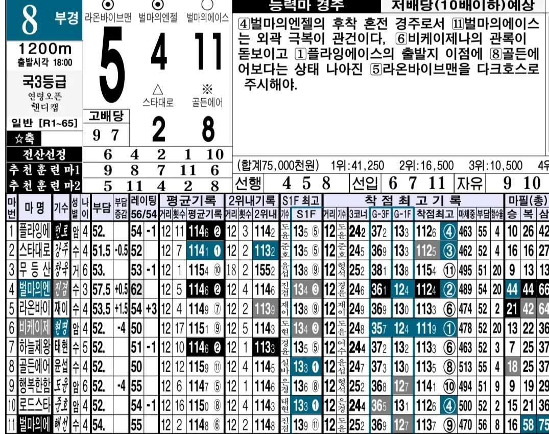 "5월 9일 금요경마 명승부 예상"