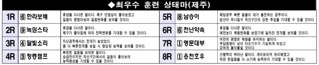 "5월 9일 금요제주 조교상태 양호마"