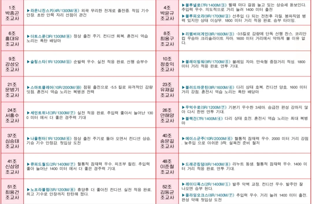 "5월 24일 토요서울 조교사 인터뷰"