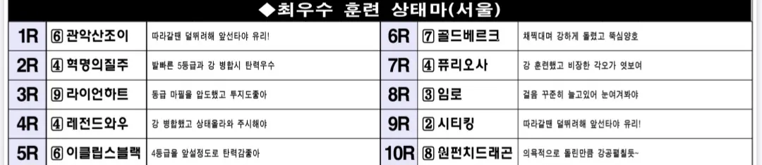 "5월17일 토요서울 조교상태 양호마"